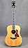 Taylor 810