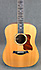 Taylor 810
