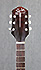 Silvertone H61