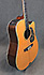 Takamine MIYABI Ltd 2010