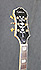 Epiphone Emperor Regent