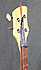 Rickenbacker 3001