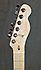 Fender American Pro Exotic Collection Pine Telecaster