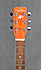 Art & Lutherie Cedar
