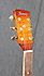 Ibanez Artwood AW 200
