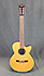 Ibanez AEG19NENT