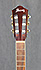 Ibanez AEG19NENT