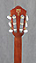 Ibanez AEG19NENT
