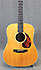 Breedlove Roots Series D-SRH micro piezo actif