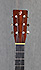 Breedlove Roots Series D-SRH micro piezo actif