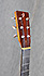 Breedlove Roots Series D-SRH micro piezo actif