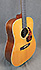 Breedlove Roots Series D-SRH micro piezo actif