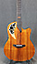 Ovation Collector FKOA de 2006