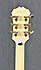 Epiphone G400 Custom