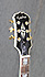 Epiphone G400 Custom