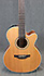 Takamine GN20CE