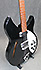 Rickenbacker 330