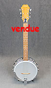 Rivers Banjo Guitar