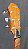 Rivers Banjo Guitar