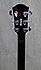 Yamaha APX 600