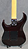 Washburn MG 701 Deluxe Plus