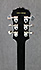 Epiphone Les Paul Standard