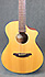 Breedlove C250 SME-12