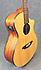 Breedlove C250 SME-12