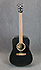 Art & Lutherie Cedar Black