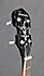 Tennessee Banjo Tenor
