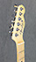 Fender LTD Thinline Telecaster