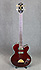 Epiphone Allen Woody