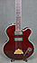Epiphone Allen Woody