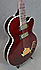 Epiphone Allen Woody