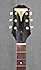 Epiphone Century E422T de 1959