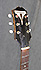 Epiphone Century E422T de 1959