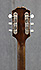 Epiphone Century E422T de 1959