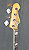 Fender Jazz Bass