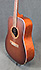 Art et Lutherie Cedar Bourbon Burst LH