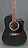 Elypse Cedar Black