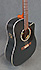 Elypse Cedar Black