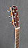 Fender PM2 Std