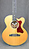 Gibson Parlor Walnut AG