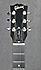 Gibson Parlor Walnut AG
