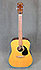 Takamine TW2