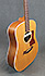 Taylor 210 Micro LR Baggs M1 Passif