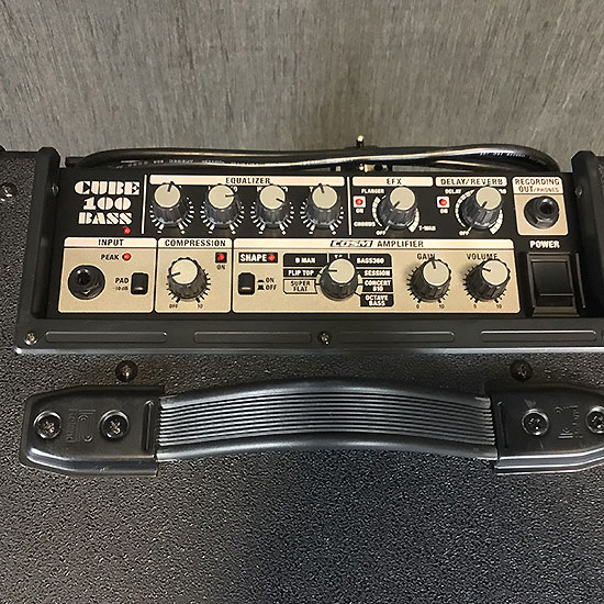 Roland Cube 100 Bass