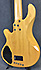 Lakland Skyline Series 55 02