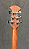 Ovation Celebrity CC44