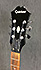 Epiphone DOT